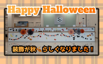 店内の装飾が秋仕様になりました！！